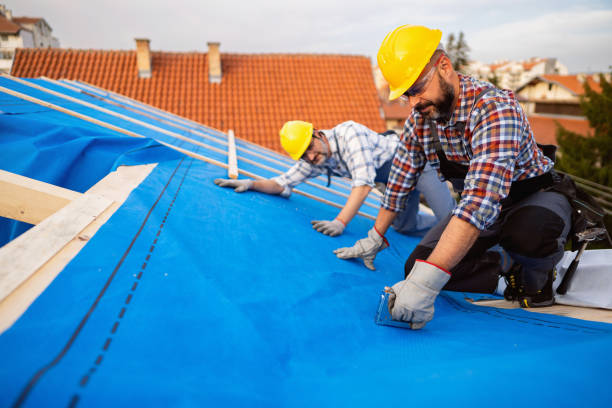 Fast & Reliable Emergency Roof Repairs in Patterson, LA