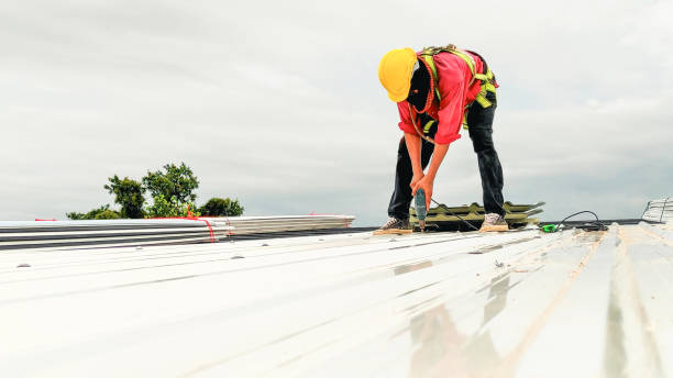 Steel Roofing in Patterson, LA