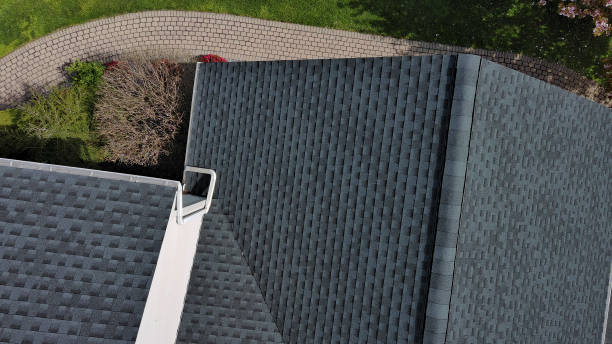 Best Roof Moss and Algae Removal  in Patterson, LA